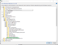 WindowsAuthInstall.png